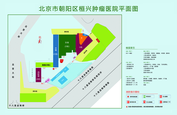 抽插洞多人视频干骚北京市朝阳区桓兴肿瘤医院平面图